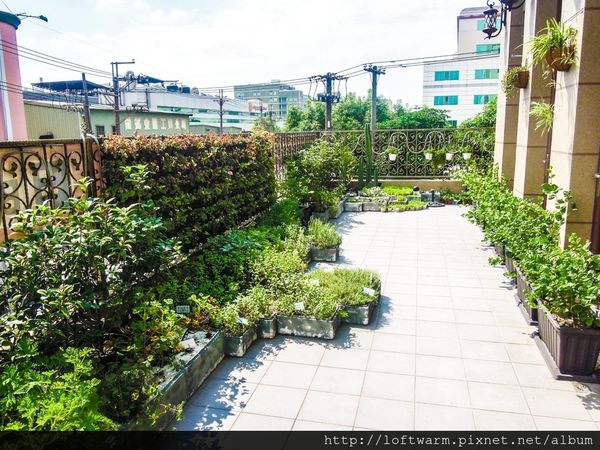 65621-1498639188-2694936890_n.jpg?v=1498639211