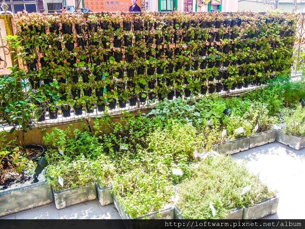 65621-1498639319-3242346976_n.jpg?v=1498639321