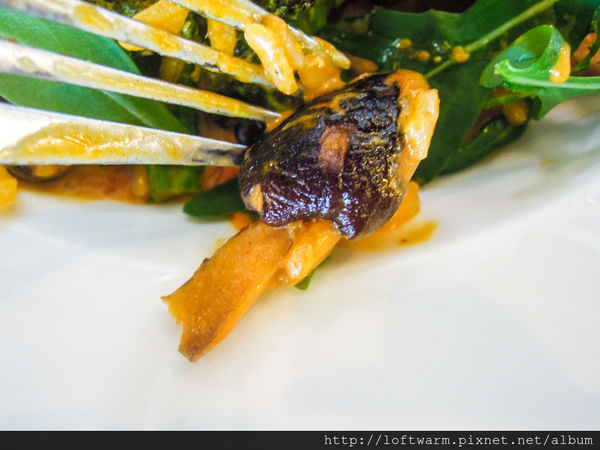 65621-1498638451-73604670_n.jpg?v=1498638476