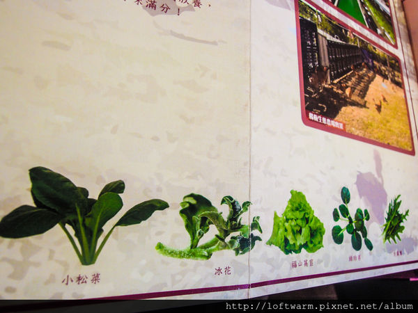 65621-1498637655-3294952377_n.jpg?v=1498637687