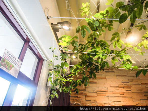 65621-1498637190-1275892585_n.jpg?v=1498637207