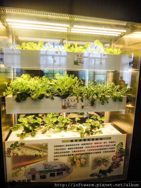 65621-1498637655-196949014_n.jpg?v=1498637664