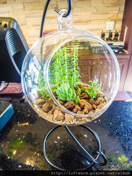 65621-1498639319-2995118669_n.jpg?v=1498639323