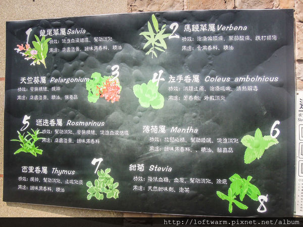 65621-1498639188-1653056969_n.jpg?v=1498639214