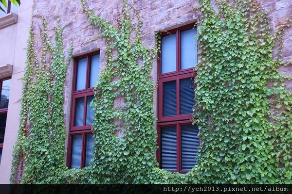 65635-1500220116-1466561067_n.jpg?v=1500220205