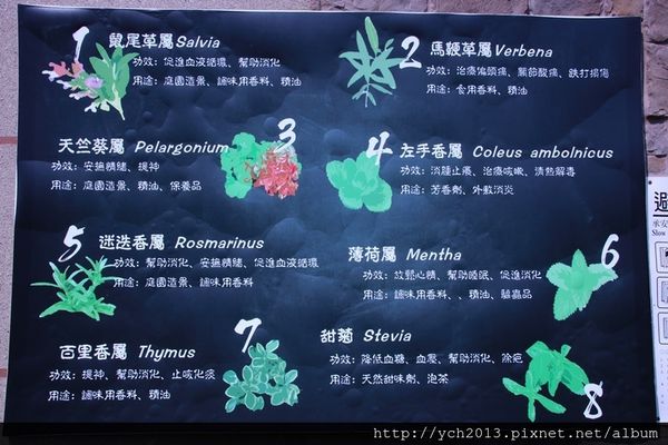 65635-1500220172-3040564727_n.jpg?v=1500220206