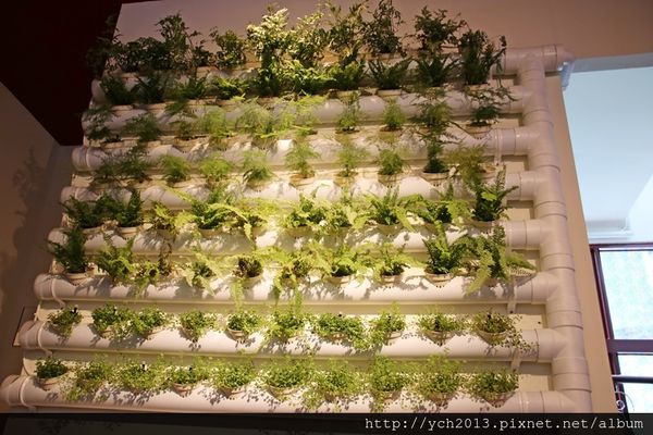 65635-1500220120-1602322203_n.jpg?v=1500220205