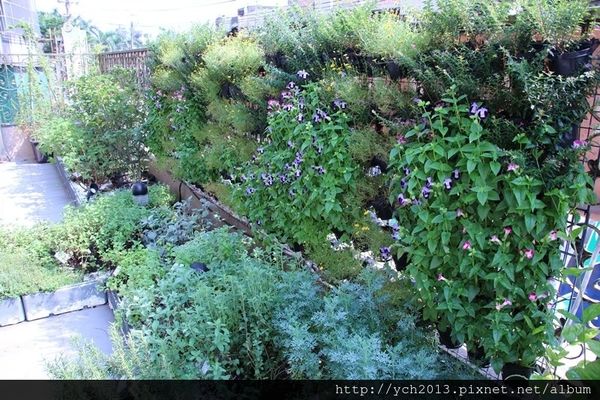 65635-1500220174-1847734810_n.jpg?v=1500220206