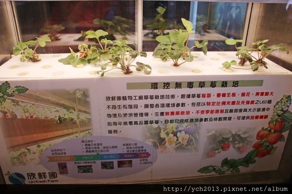 65635-1500220133-3090811983_n.jpg?v=1500220205