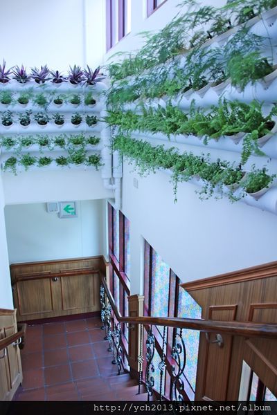 65635-1500220124-1787725254_n.jpg?v=1500220205