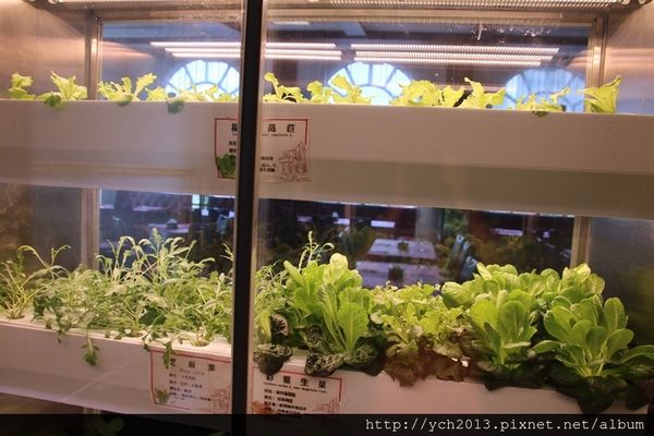 65635-1500220135-3876785319_n.jpg?v=1500220205