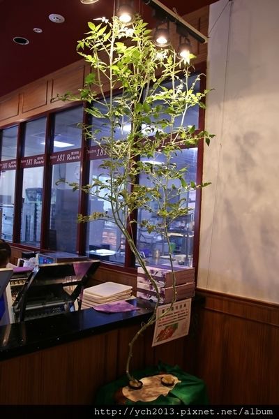 65635-1500220122-232880703_n.jpg?v=1500220205