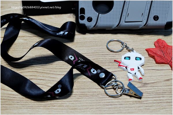 1499423931-3989367781_n.jpg?v=1499423932