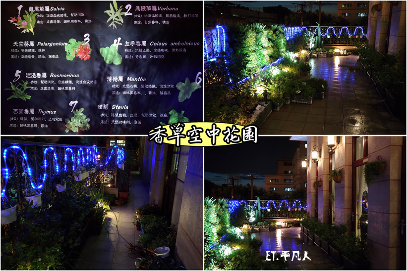 65734-1499299028-3108034159_l_thumb.jpg?v=1499299031