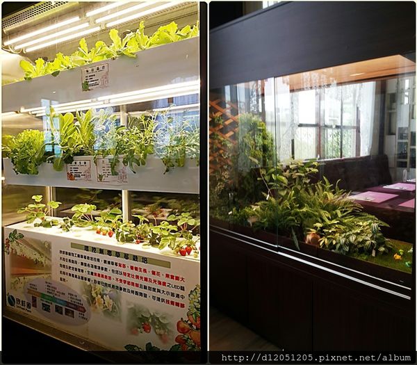 65756-1500648173-3878270489_n.jpg?v=1500648179