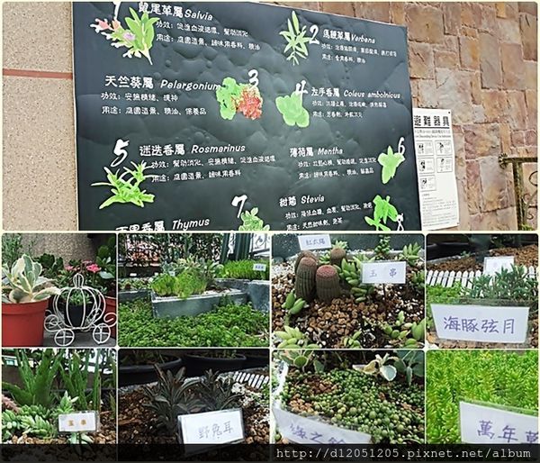 65756-1500648012-1371051692_n.jpg?v=1500648051