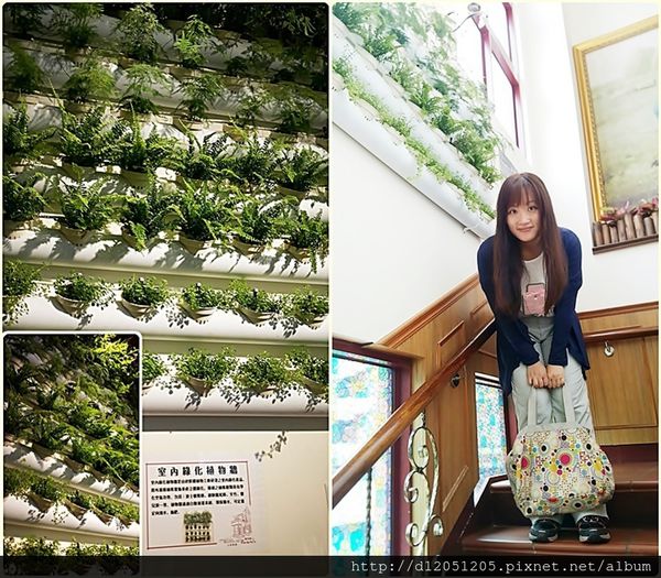 65756-1500648173-2412393265_n.jpg?v=1500648177