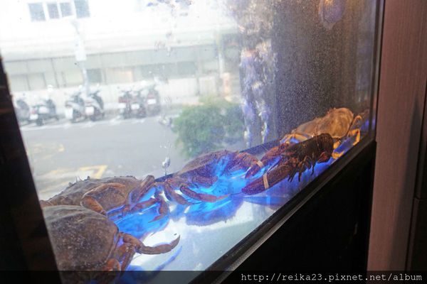 1499261130-1145568953_n.jpg?v=1499341030