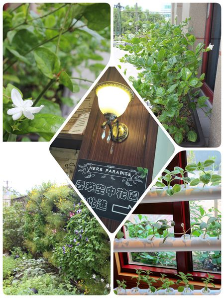 65827-1499925636-1666612773_n.jpg?v=1499925649