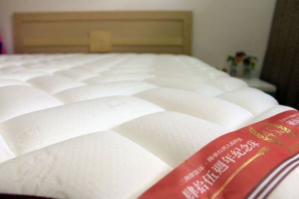 1500819856-1069789189_n.jpg?v=1500819857