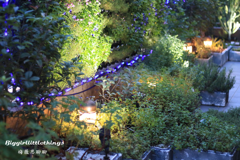 66029-1500624658-18591938_l_thumb.jpg?v=1500624828