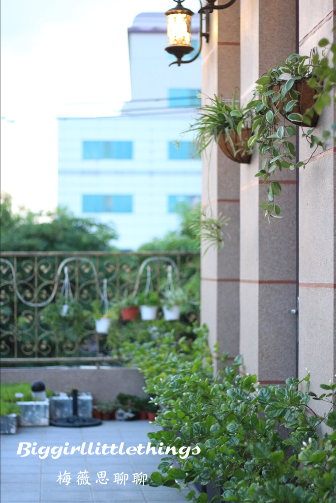 66029-1500624656-378724249_l.jpg?v=1500624828