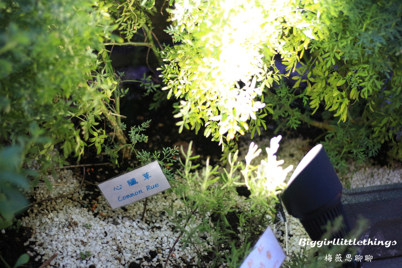 66029-1500624658-1000804341_l_thumb.jpg?v=1500624828