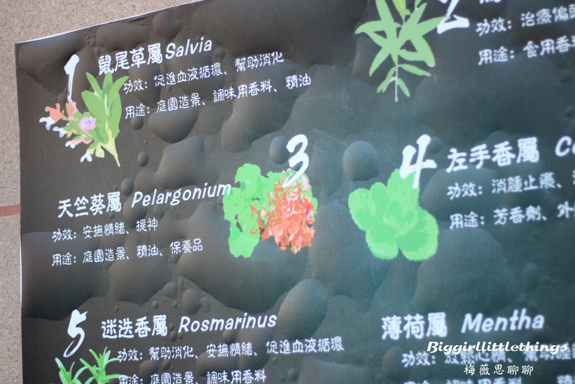 66029-1500624657-371127336_l_thumb.jpg?v=1500624828