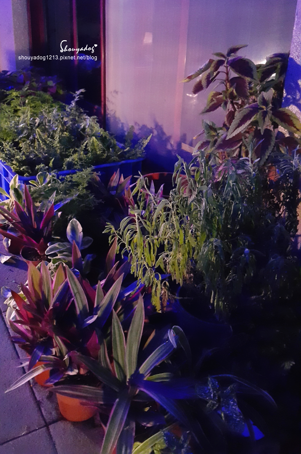 66127-1498901304-1032708527.png?v=1498901307