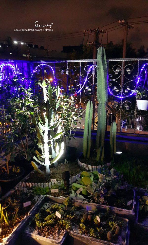 66127-1498901303-3815242348.png?v=1498901305