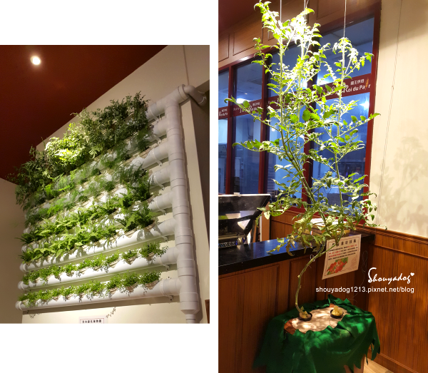 66127-1498901279-3937522727.png?v=1498901280