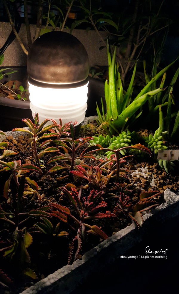 66127-1498901301-1947890948.png?v=1498901303