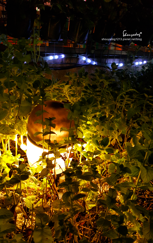 66127-1498901302-2485172436.png?v=1498901304