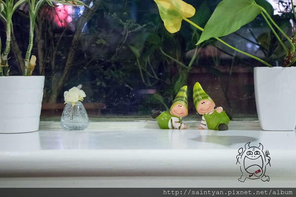 66224-1499733923-912284602_n.jpg?v=1499734182