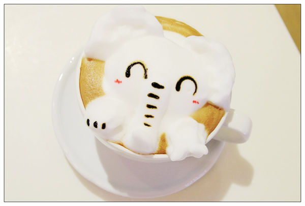 1500366126-2881367468_n.jpg?v=1500366133