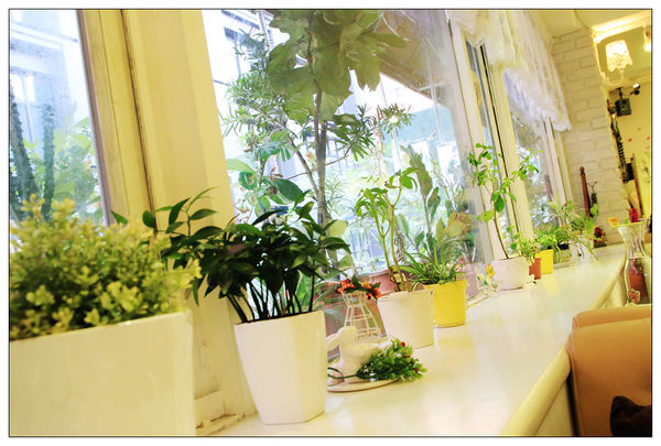 1500357734-297126075_n.jpg?v=1500357747