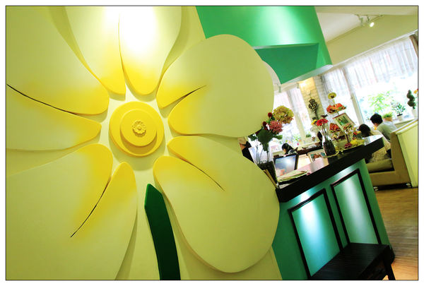 1500354485-1304647454_n.jpg?v=1500357746