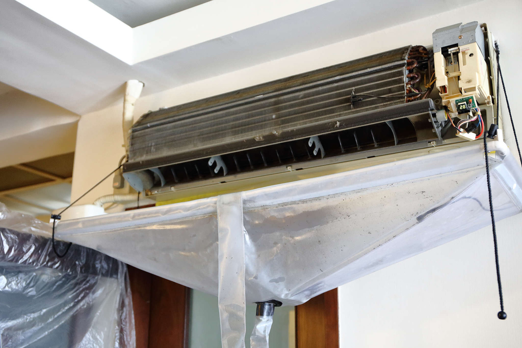 1502511761-4270984342_l.jpg?v=1502511817