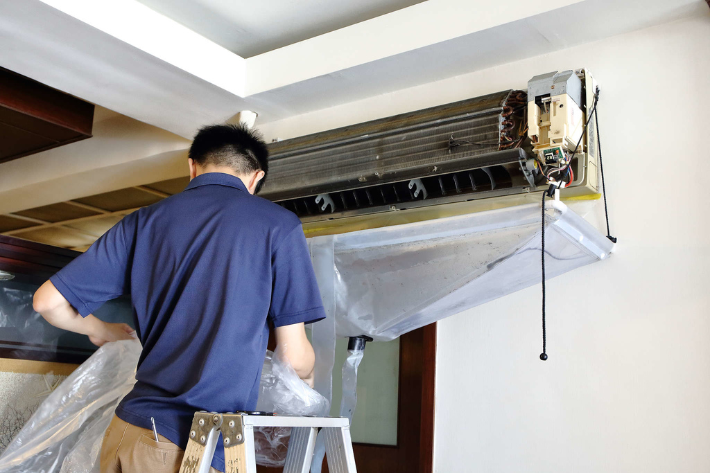 1502511760-2671479066_l.jpg?v=1502511817