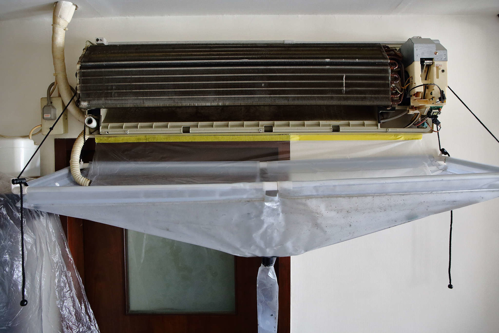 1502511762-811769908_l.jpg?v=1502511817