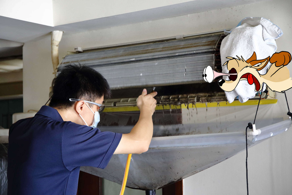 1502511770-2520800910_l.jpg?v=1502511818