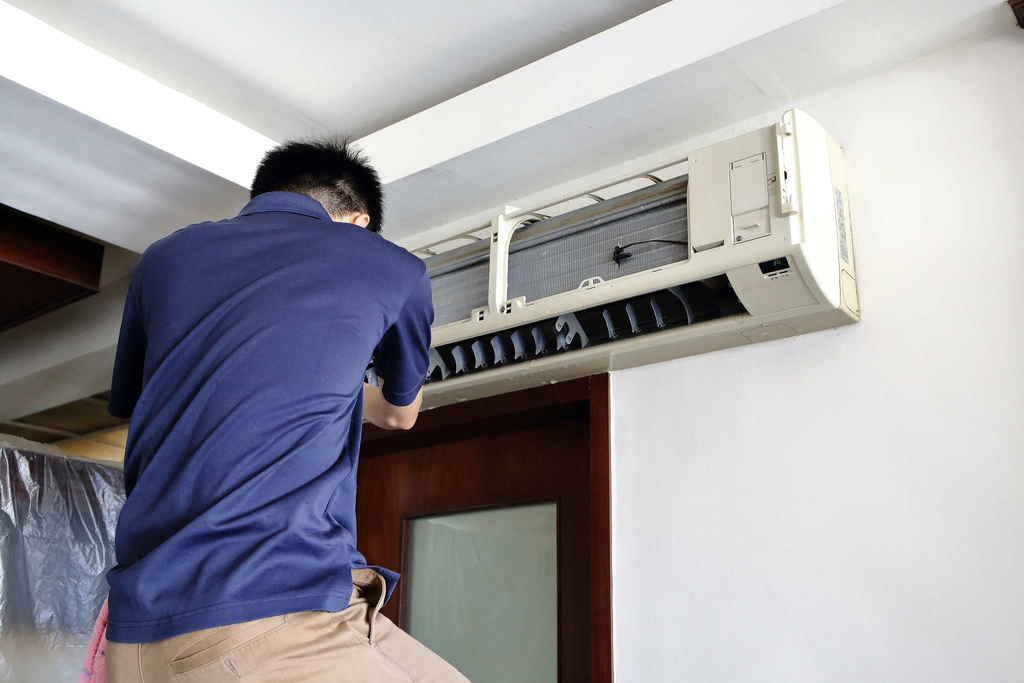 1502511783-987889319_l.jpg?v=1502511818