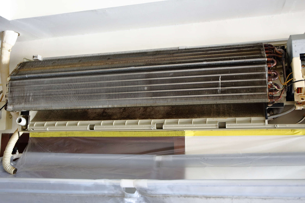 1502511763-1459104981_l.jpg?v=1502511817