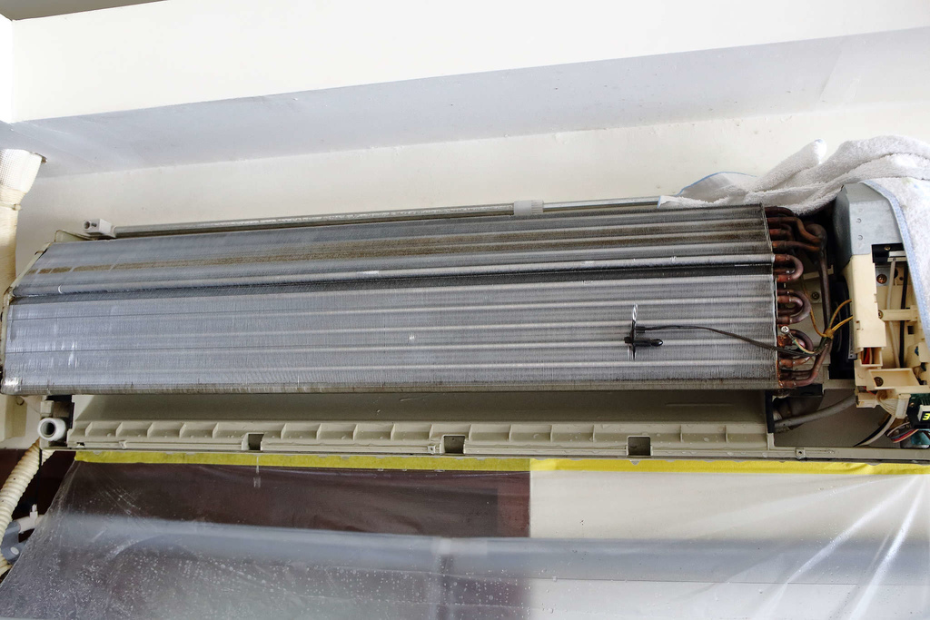 1502511775-3336387297_l.jpg?v=1502511818