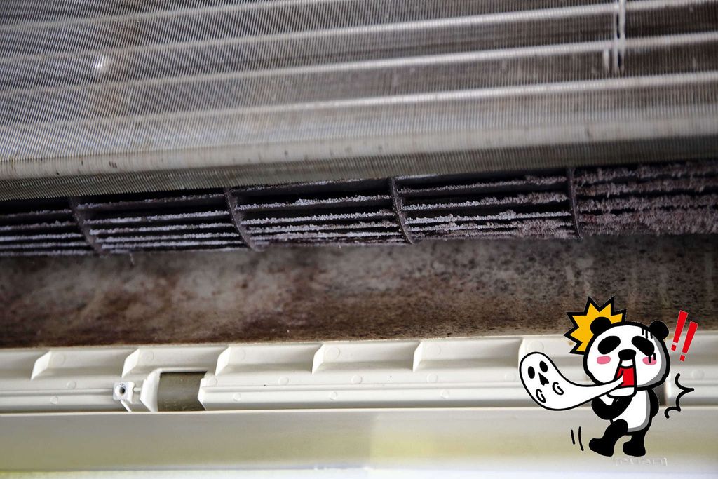 1502511763-1432068428_l.jpg?v=1502511817