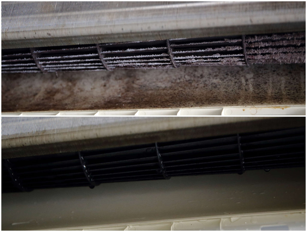 1502511786-3510823323_l.jpg?v=1502511818