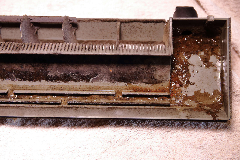 1502511762-1177141078_l.jpg?v=1502511817