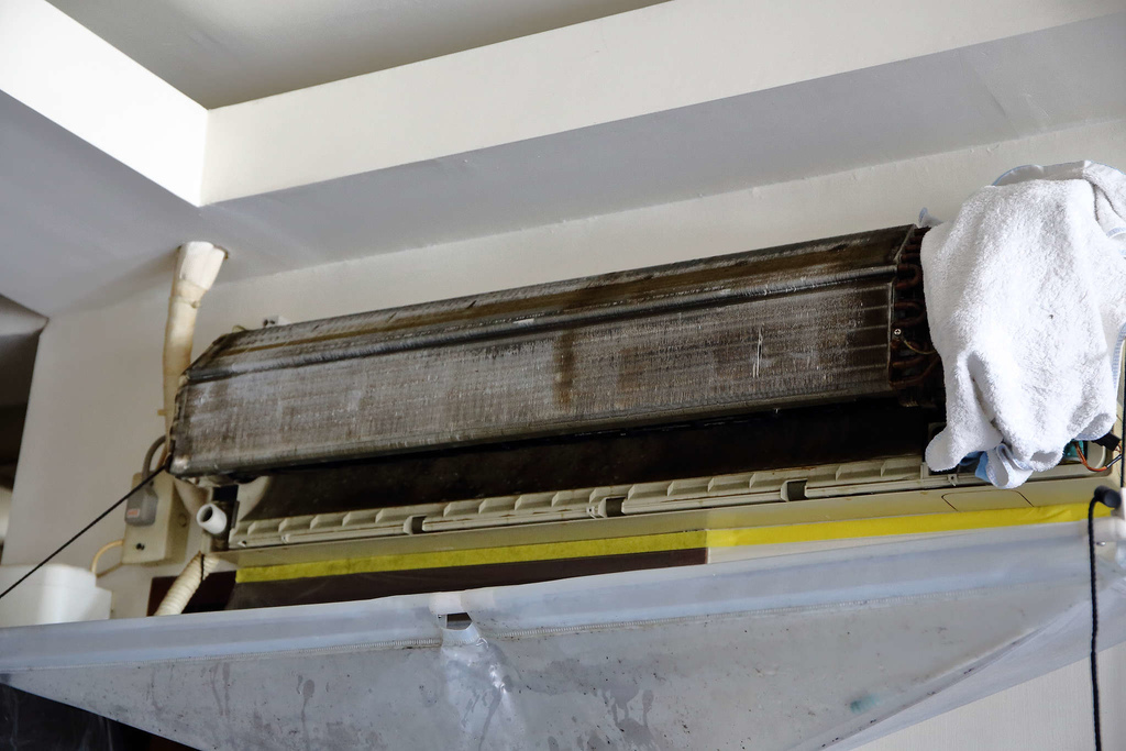 1502511765-2202922312_l.jpg?v=1502511817