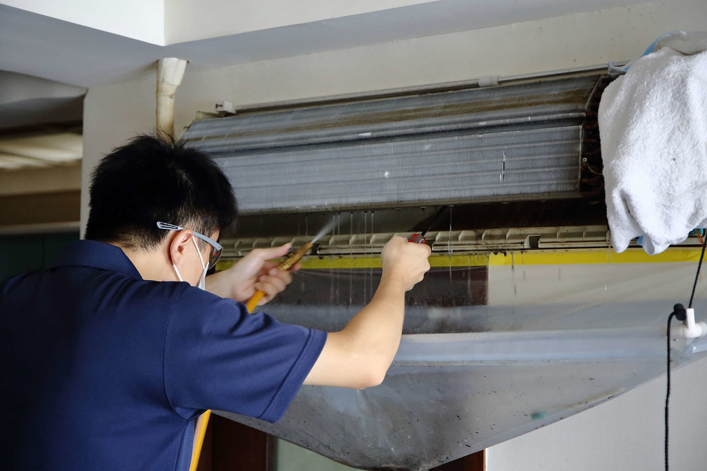 1502511769-2877771456_l.jpg?v=1502511818