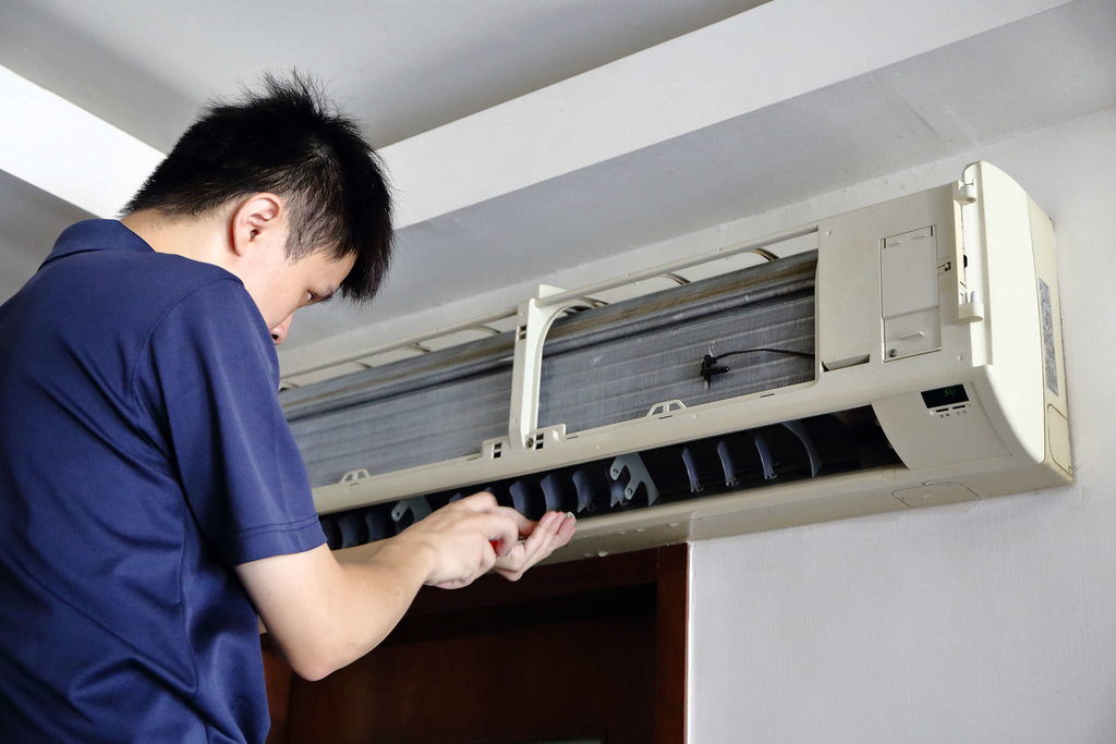 1502511782-356543150_l.jpg?v=1502511818